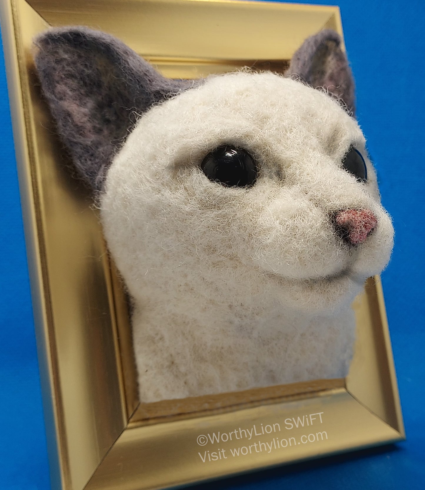 Cat: 201B | Common | Portrait