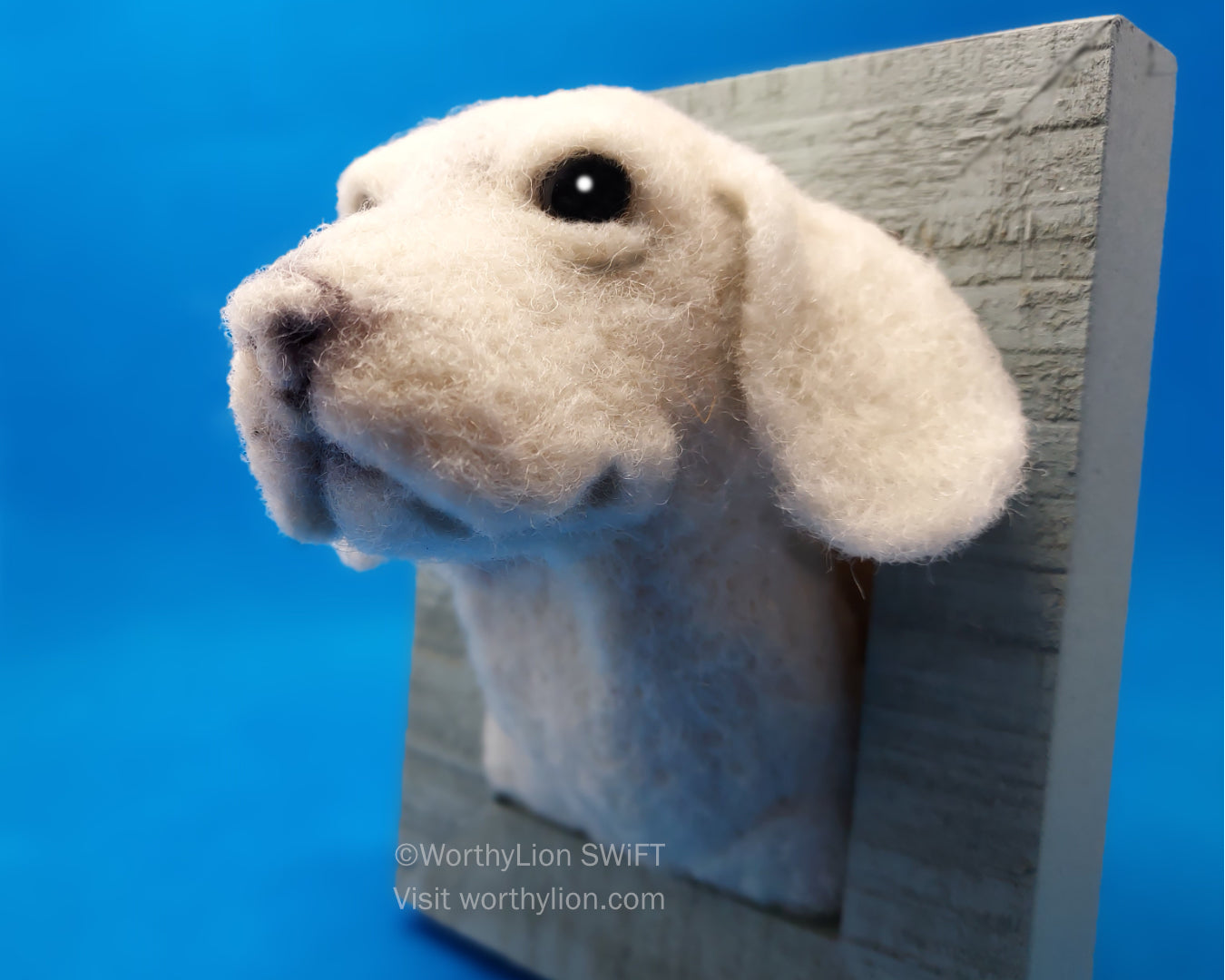 Dog: 102B | Beagle | Portrait