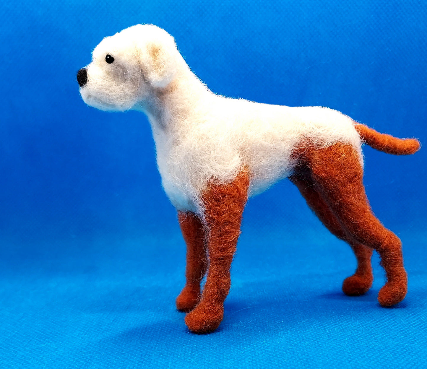 Dog: 116B | Boxer | Standing