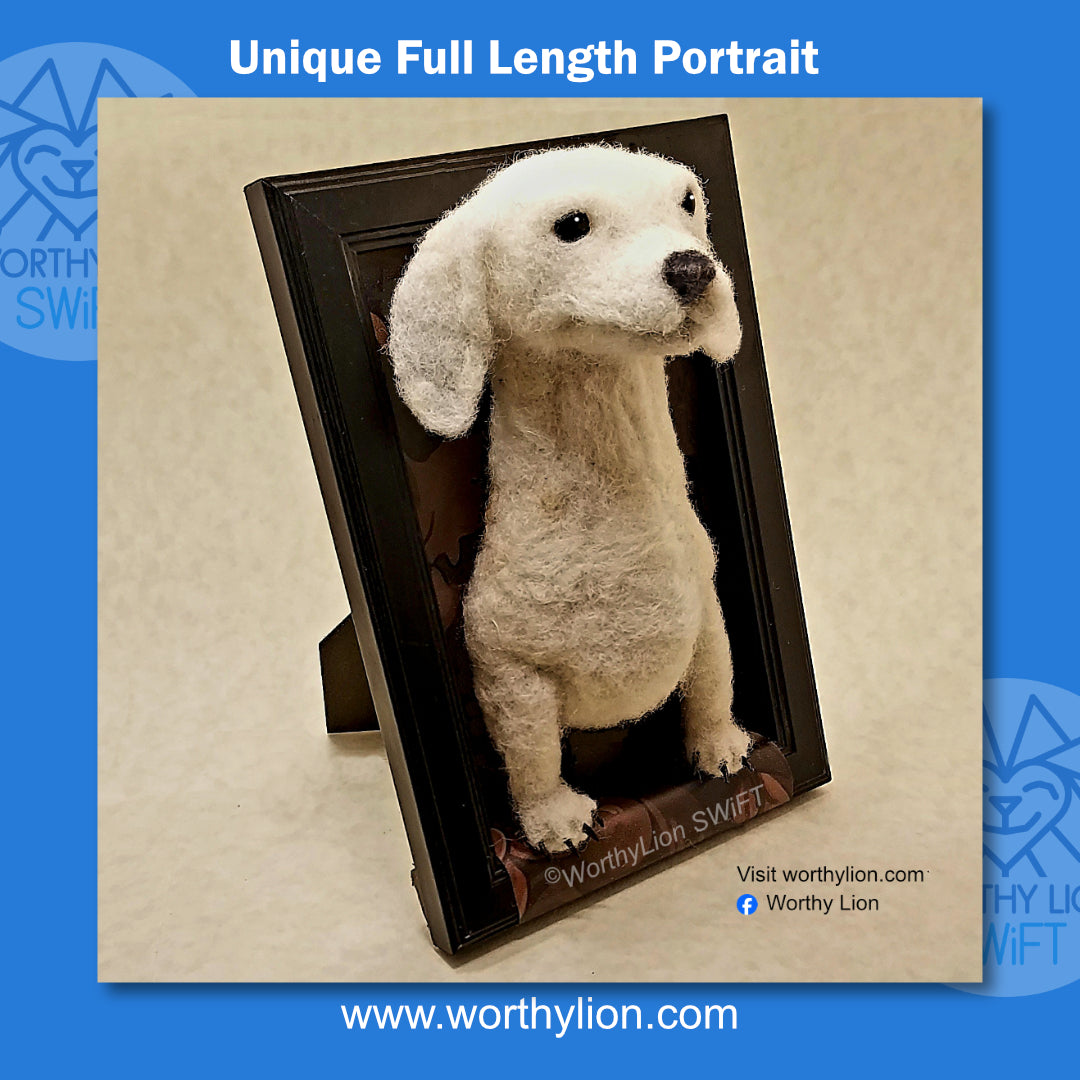 Dog: 107B | Dachshund | Portrait Full Length