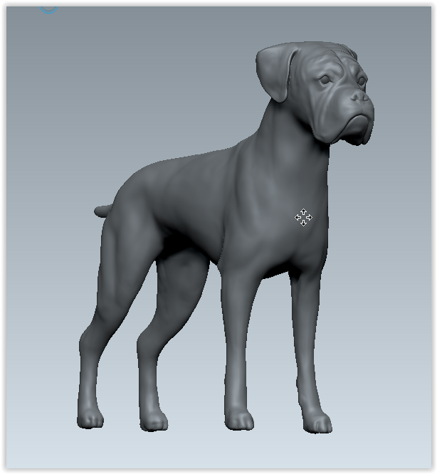 Dog: 116B | Boxer | Standing
