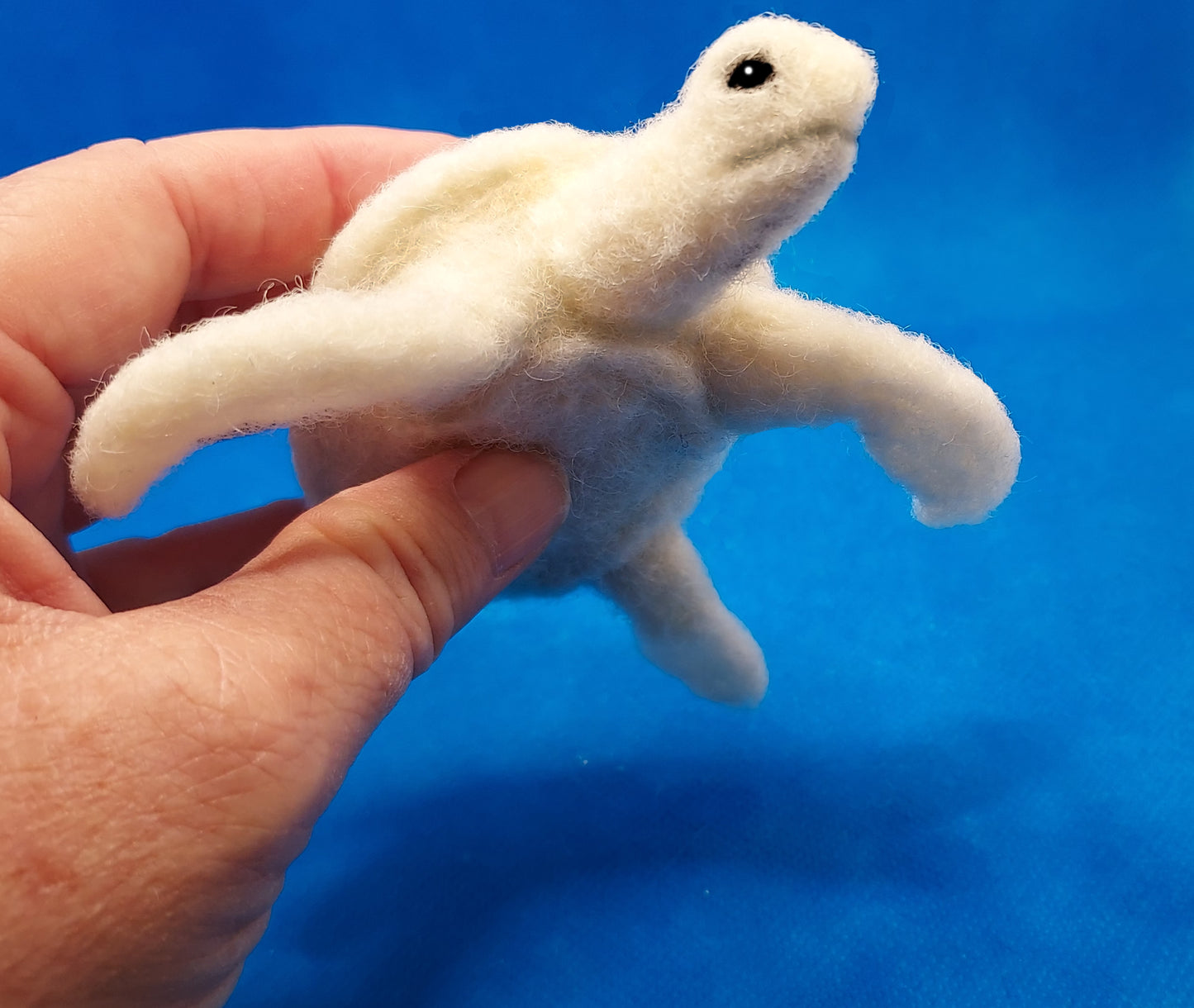 Marine: 512B | Sea Turtle | Swimming
