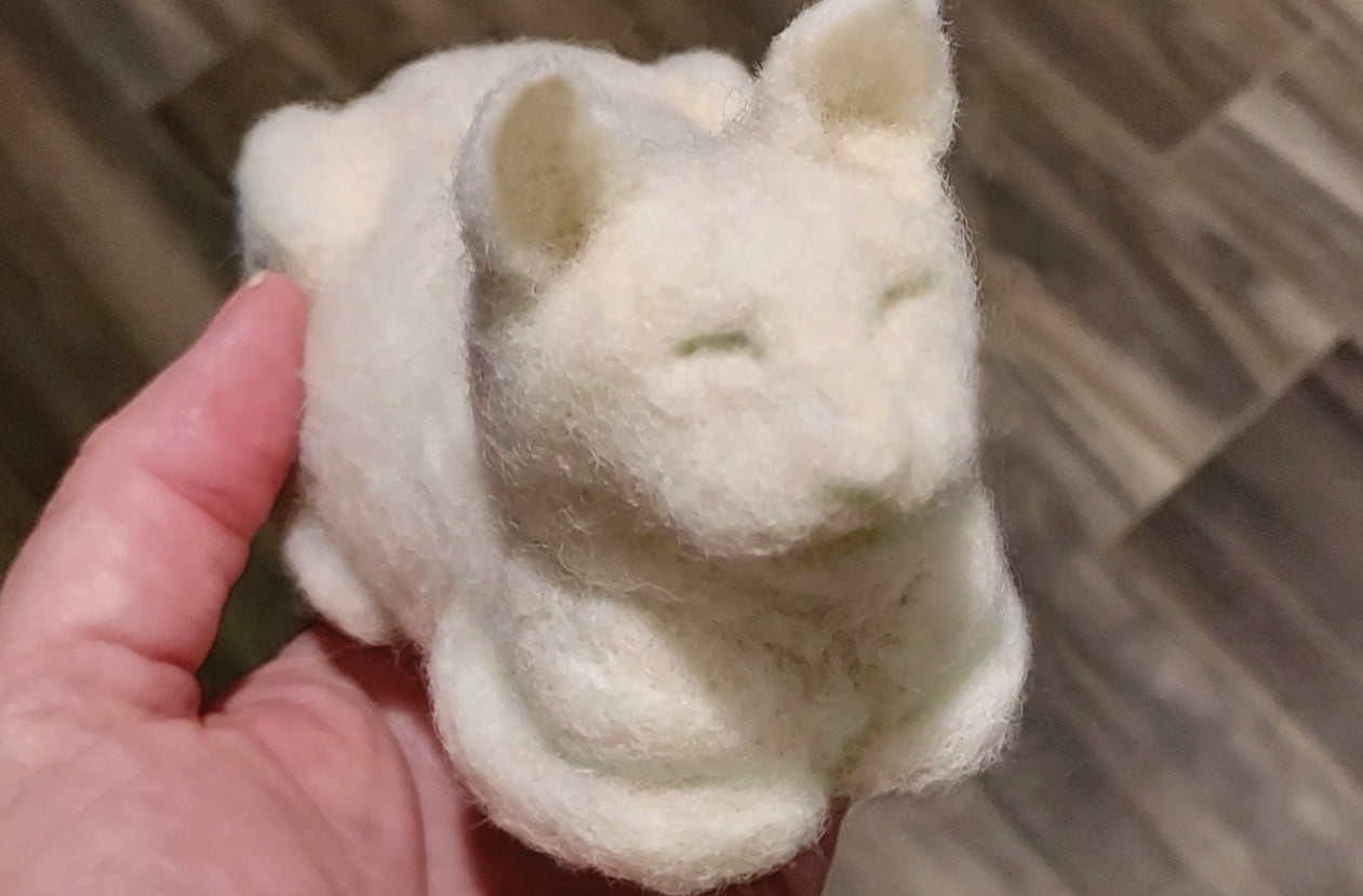 Cat: 202B | Loaf